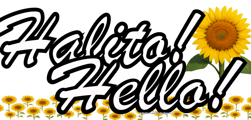 Halito Sunflower Halito Sunflower - Reclaimed wood sign