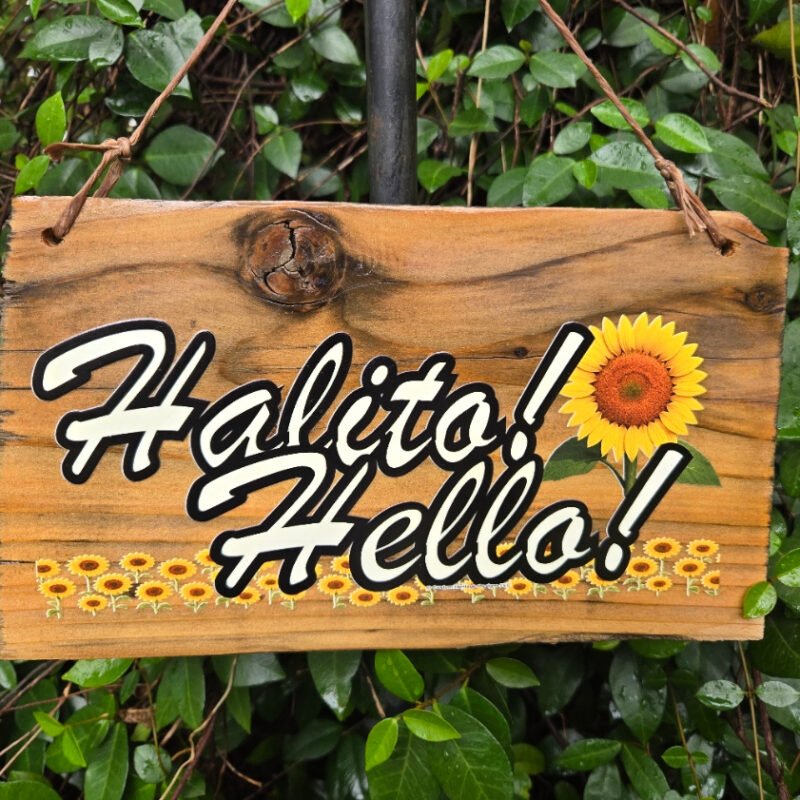 Halito Sunflower Choctaw Language Reclaimed Wood Signs - FULL SET