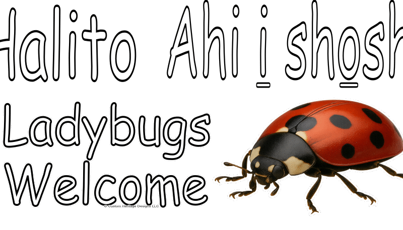 Halito Ahi i shoshi - Reclaimed wood sign