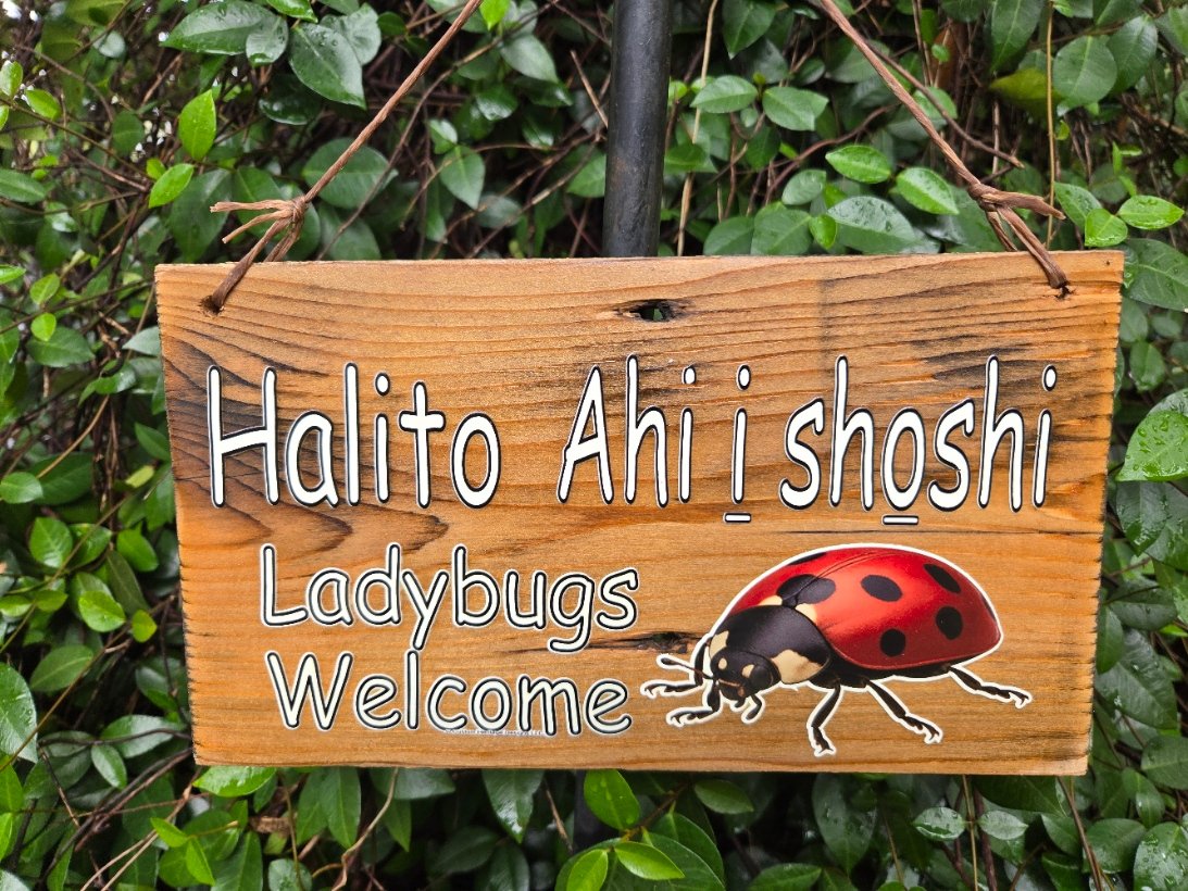 Ladybugs Welcome with Choctaw Language Reclaimed Wood Signs - FULL SET