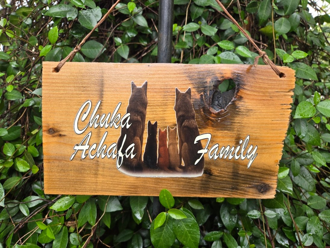 Wolf Family Choctaw Language Reclaimed Wood Signs - FULL SET