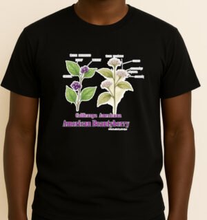 Callicarpa americana - Graphic T