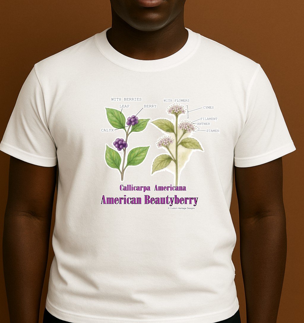 Callicarpa americana - Graphic T