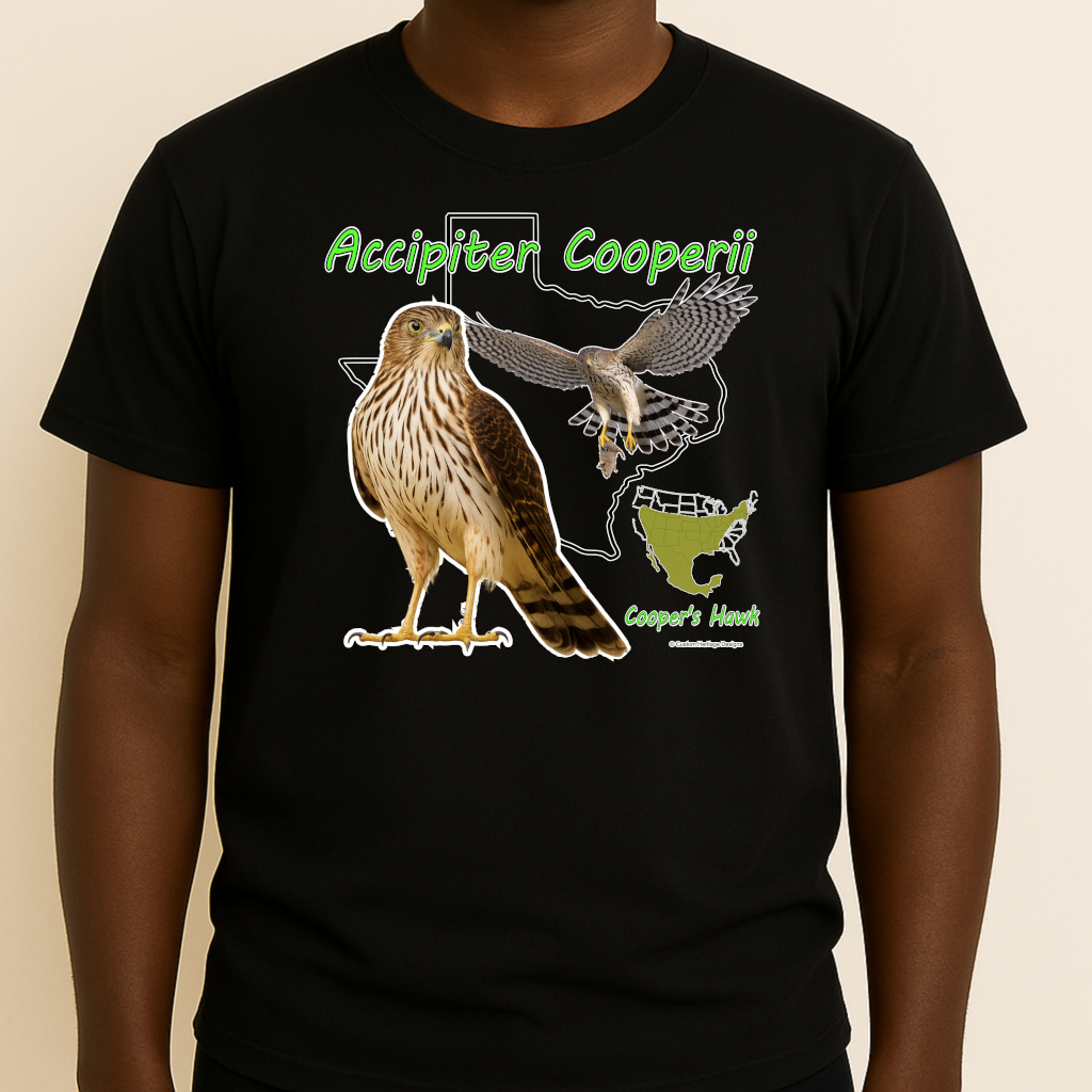 Accipiter Cooperii - Graphic T