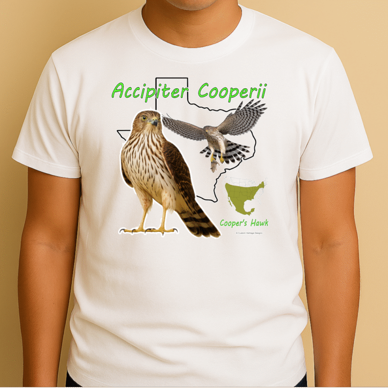 Accipiter Cooperii - Graphic T