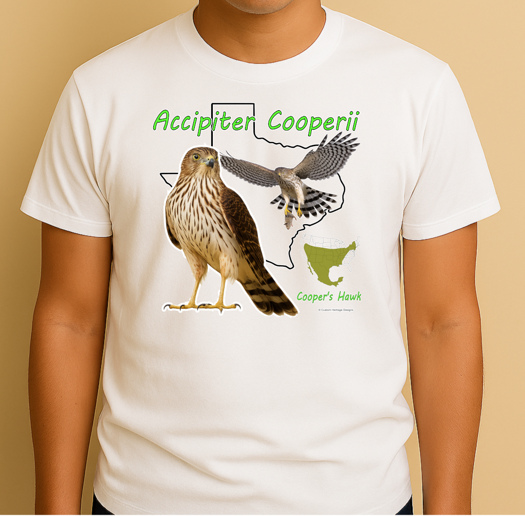 Accipiter Cooperii - Graphic T