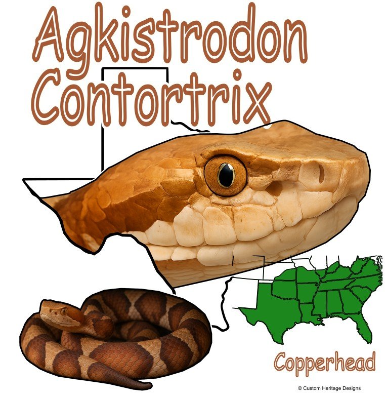 Agkistrodon Contortrix - Graphic T