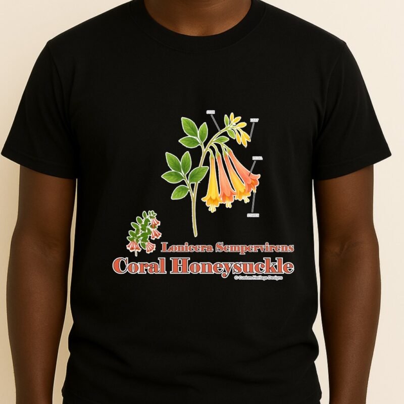 Lonicera sempervirens - Graphic T