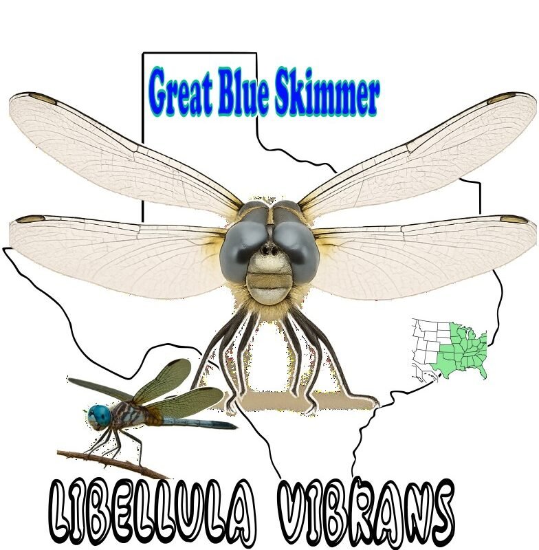 Libellula Vibrans - Graphic T