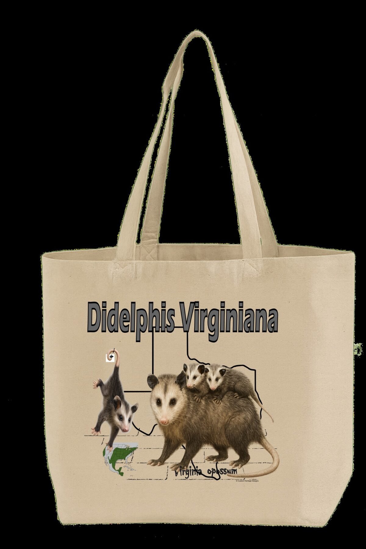Opossum Didelphis Virginiana - Tote Bag
