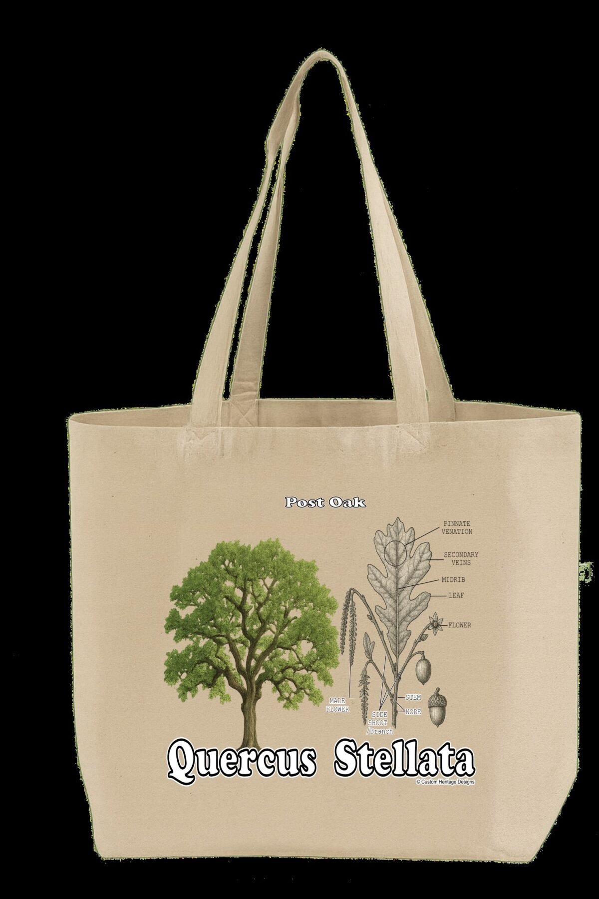 Quercus stellata - Tote Bag