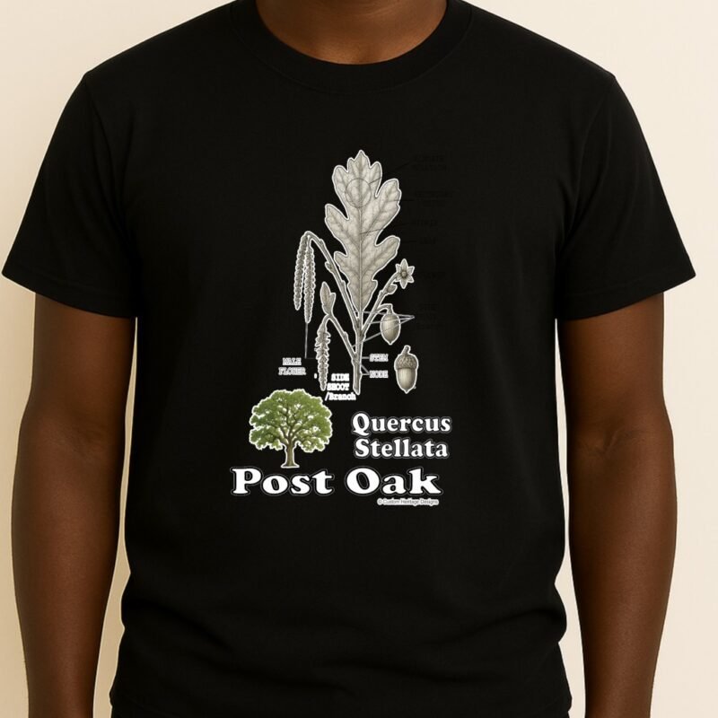 Post Oak Black Quercus stellata - Graphic T