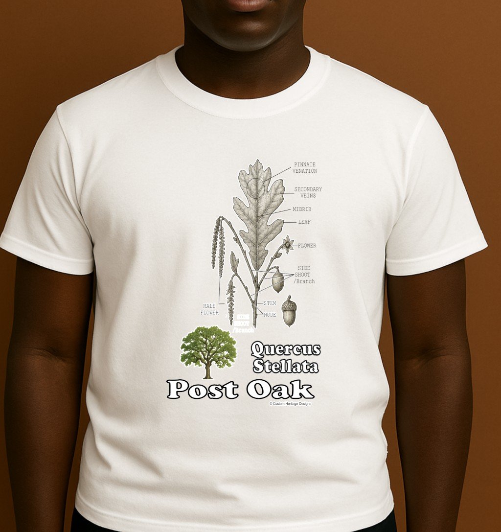 Post Oak White Quercus stellata - Graphic T