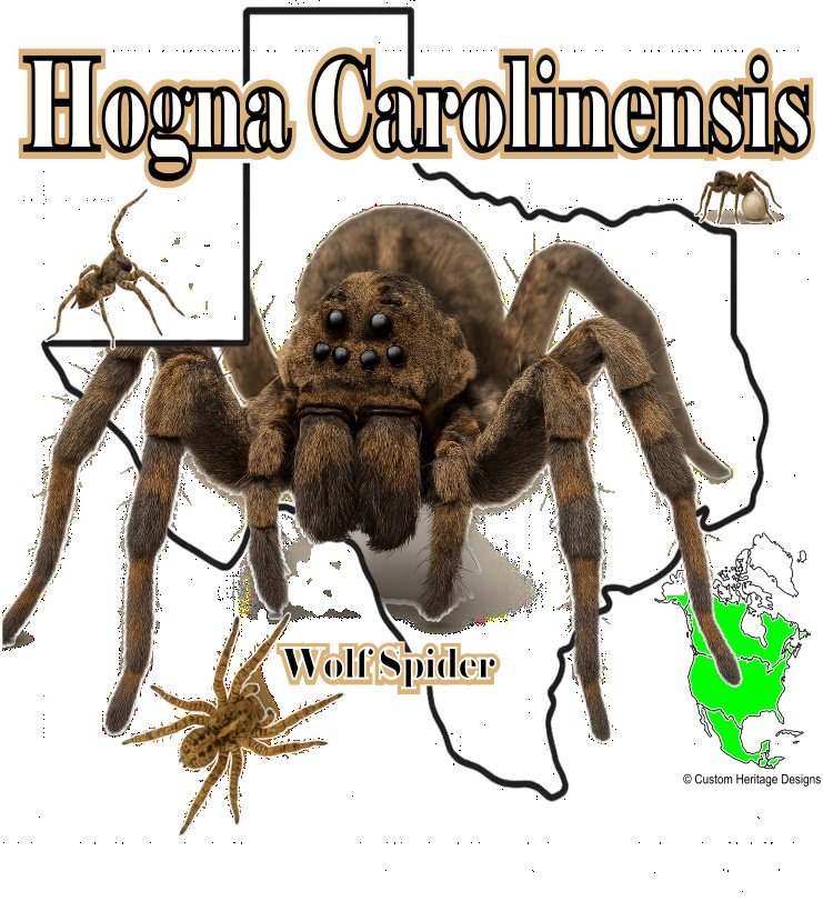 Hogna Carolinensis - Graphic T