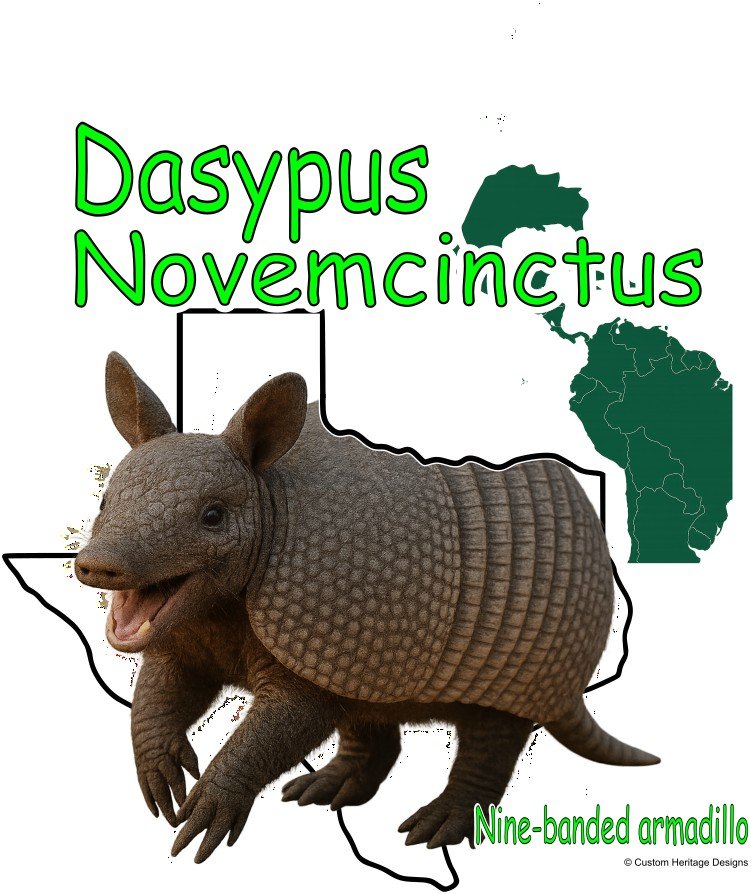 Dasypus Novemcinctus - Graphic T